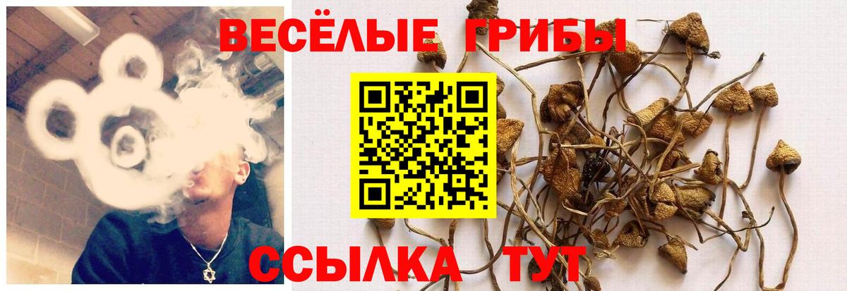 Галлюциногенные грибы ЛСД  Вход с VPN  Серов  Галлюциногенные грибы MAGIC MUSHROOMS 